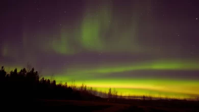 Whitehorse Canada Travel Guide: The Beautiful North Lights
